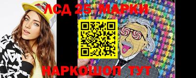 гидра Можга