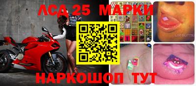 гидра Можга