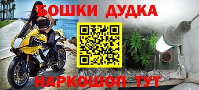 гидра Можга