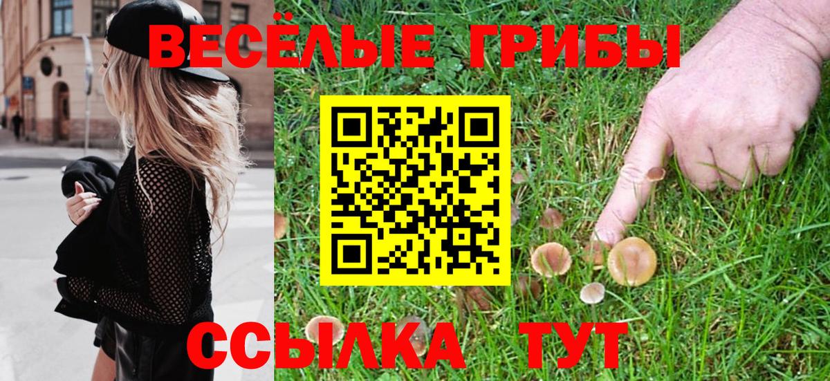 Галлюциногенные грибы мицелий Сегежа